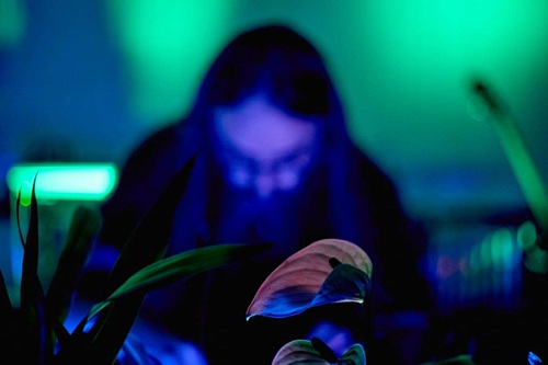 Hans Jürgen Gmeilbauer bei einer Live-Performance mit Pflanzenmusik