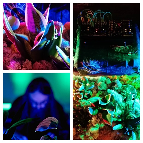 Pflanzenmusik – Klangwandlung bioelektrischer Ströme